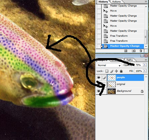 Creation of Colorful fish?: Step 13